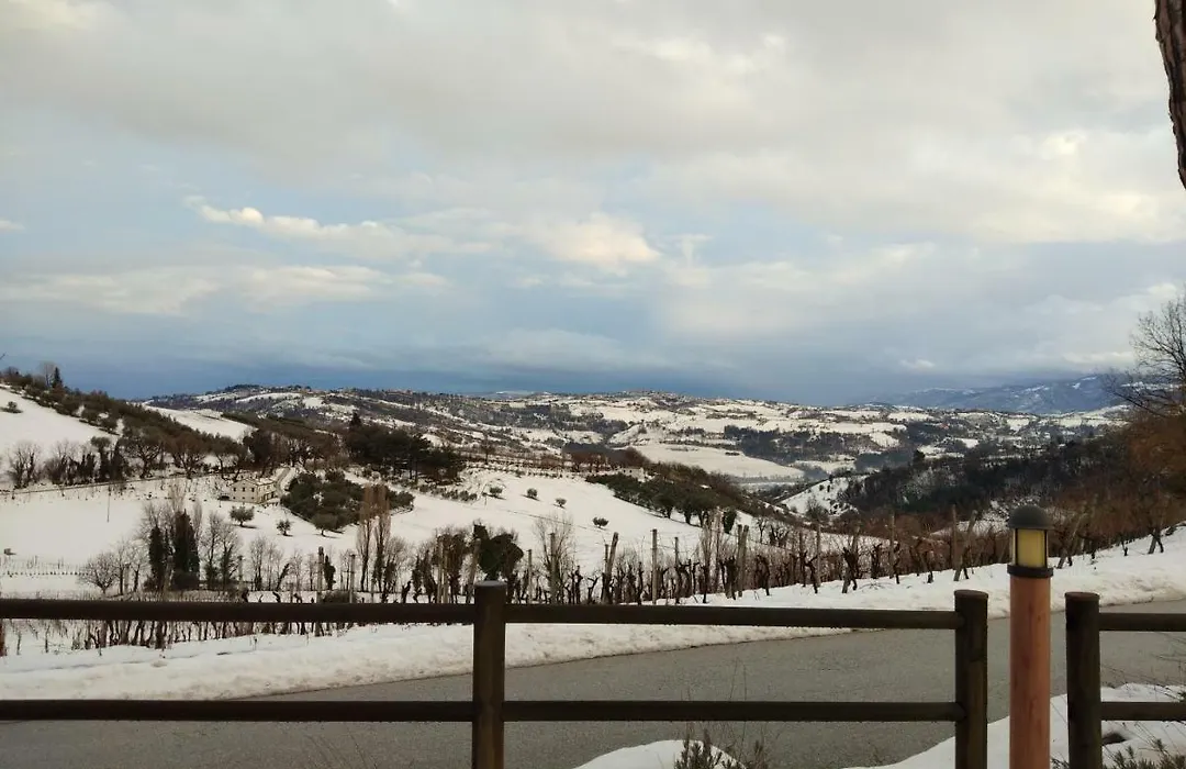 Agriturismo Le Piagge-1